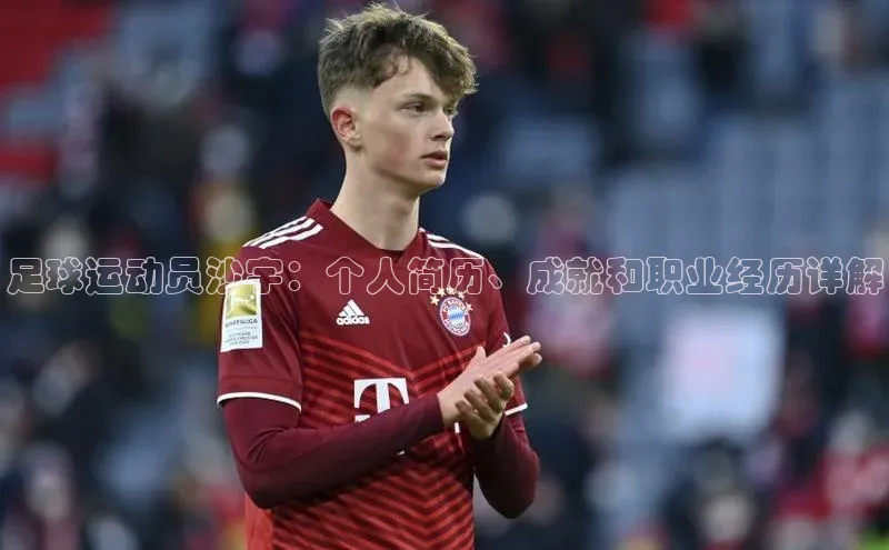 Ayx体育网站百度网盘足球运动员沙宇：个人简历、成就和职业经历详解