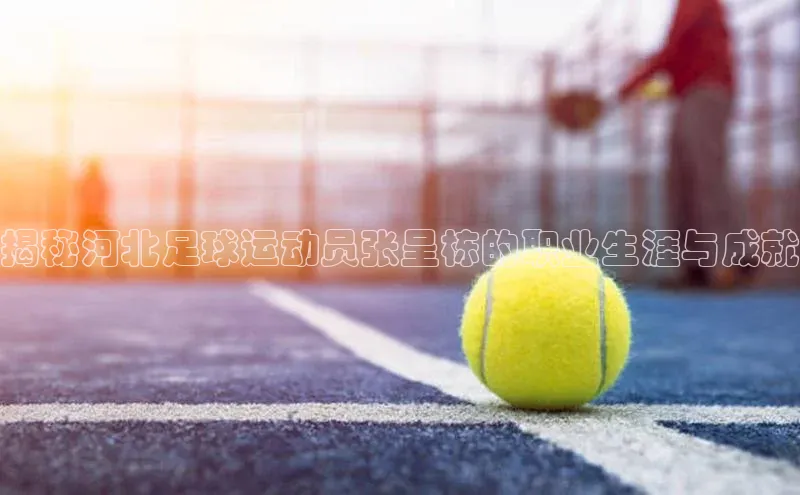 Ayx体育网站顺丰揭秘河北足球运动员张呈栋的职业生涯与成就