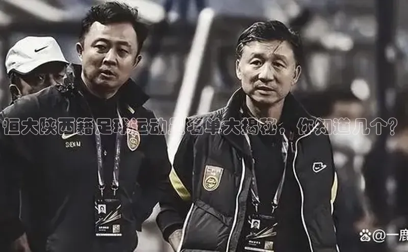 爱游戏官方网站入口登录哇咔哇咔文化恒大陕西籍足球运动员名单大揭秘，你知道几个？