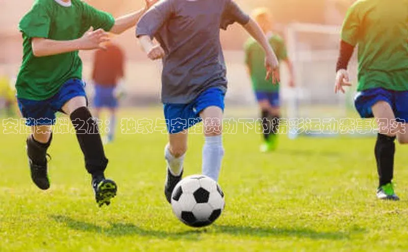 安踏荣耀之旅：独家与安踏赞助下的精彩运动赛事纪实