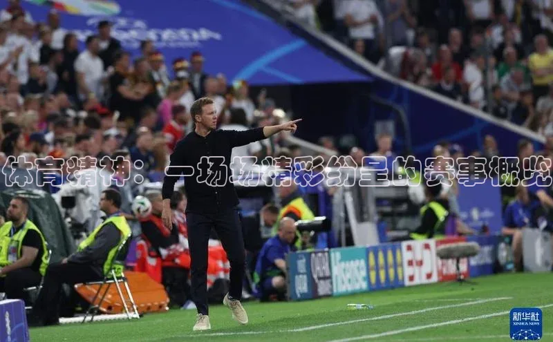 体育精神：一场场精彩纷呈的赛事概览