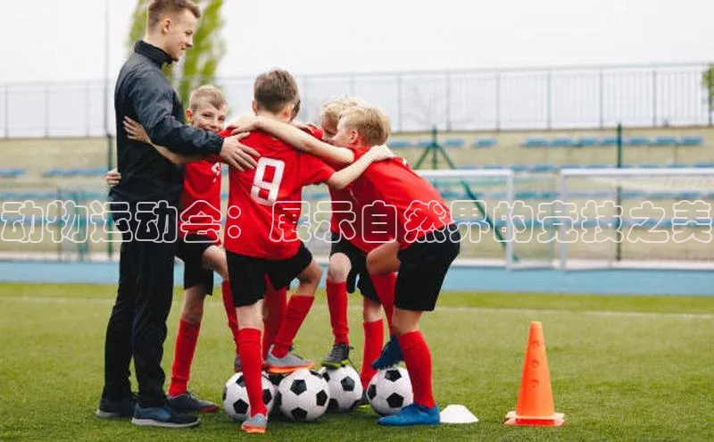动物运动会：展示自然界的竞技之美