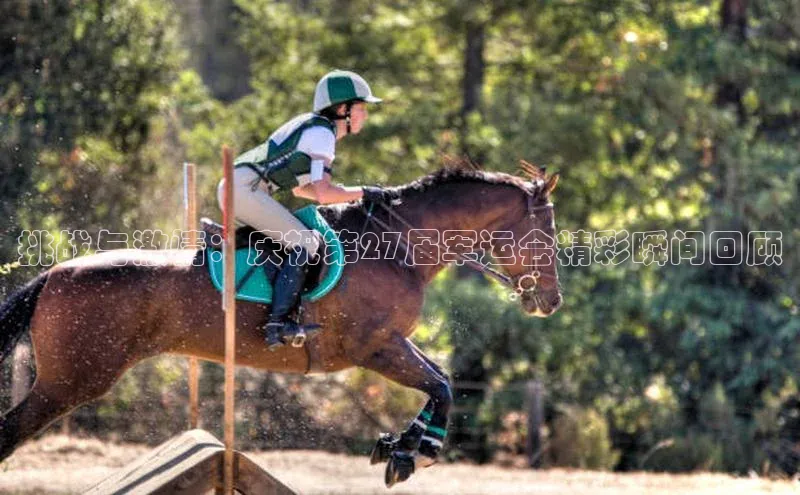 挑战与激情：庆祝第27届军运会精彩瞬间回顾
