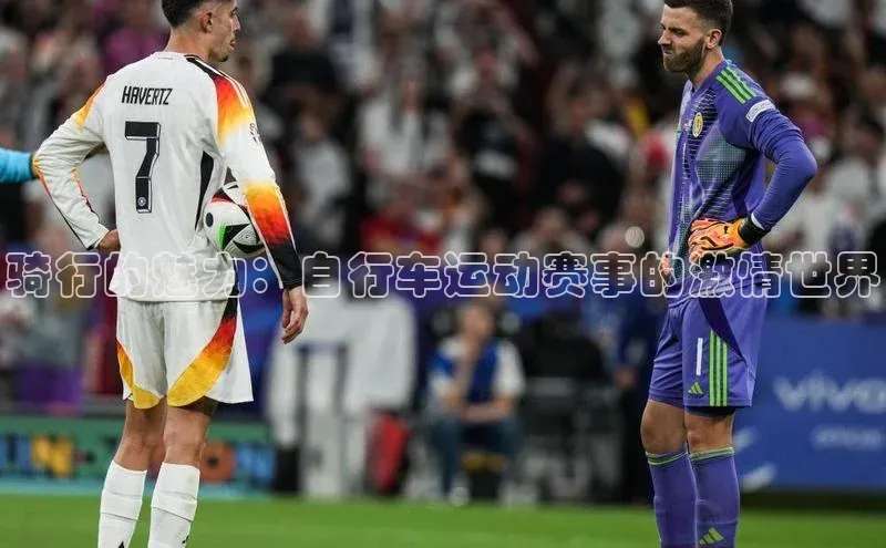骑行的魅力：自行车运动赛事的激情世界