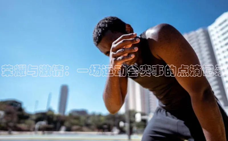 荣耀与激情：一场运动会赛事的点滴记录