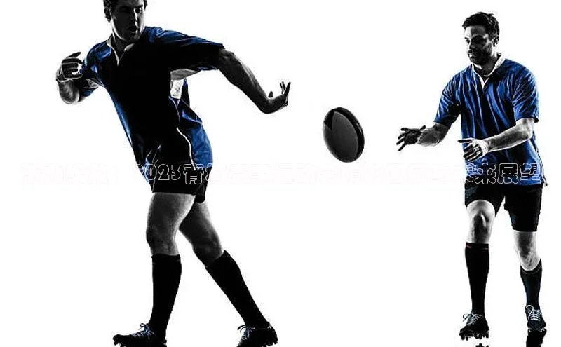 活力绽放：2023青城赛事运动会精彩回顾与未来展望