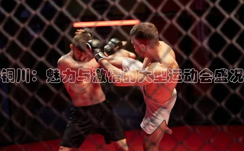 铜川：魅力与激情的大型运动会盛况