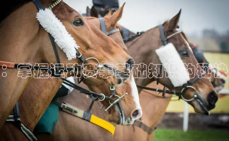 ：掌握运动赛事基础知识的秘诀