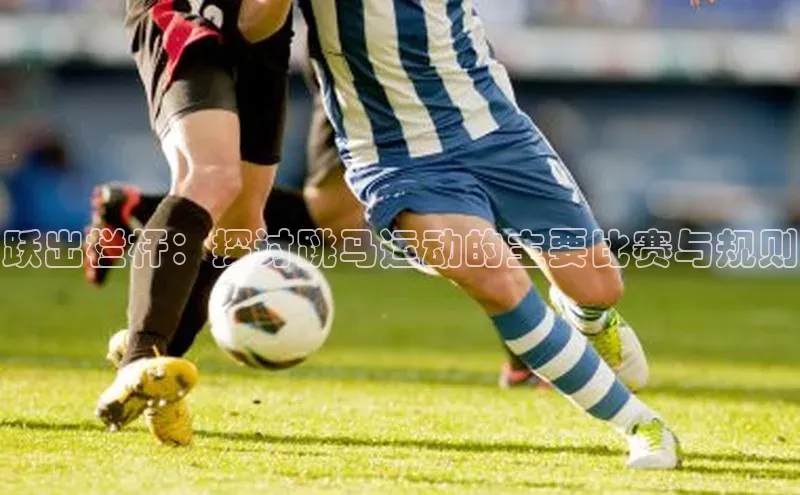 爱游戏登录入口网页版平台