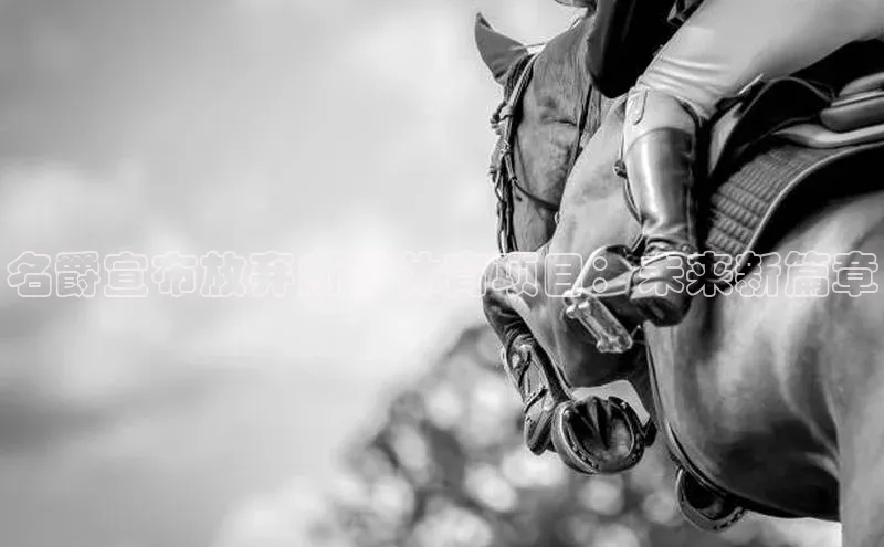 爱游戏app最新官网登录