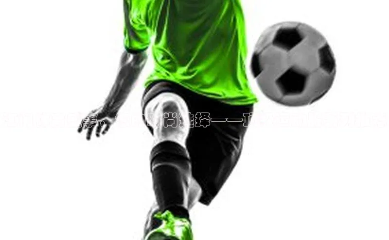 ayx游戏官网入口