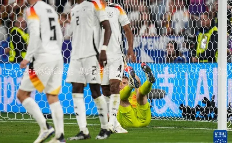 ayx游戏官网入口